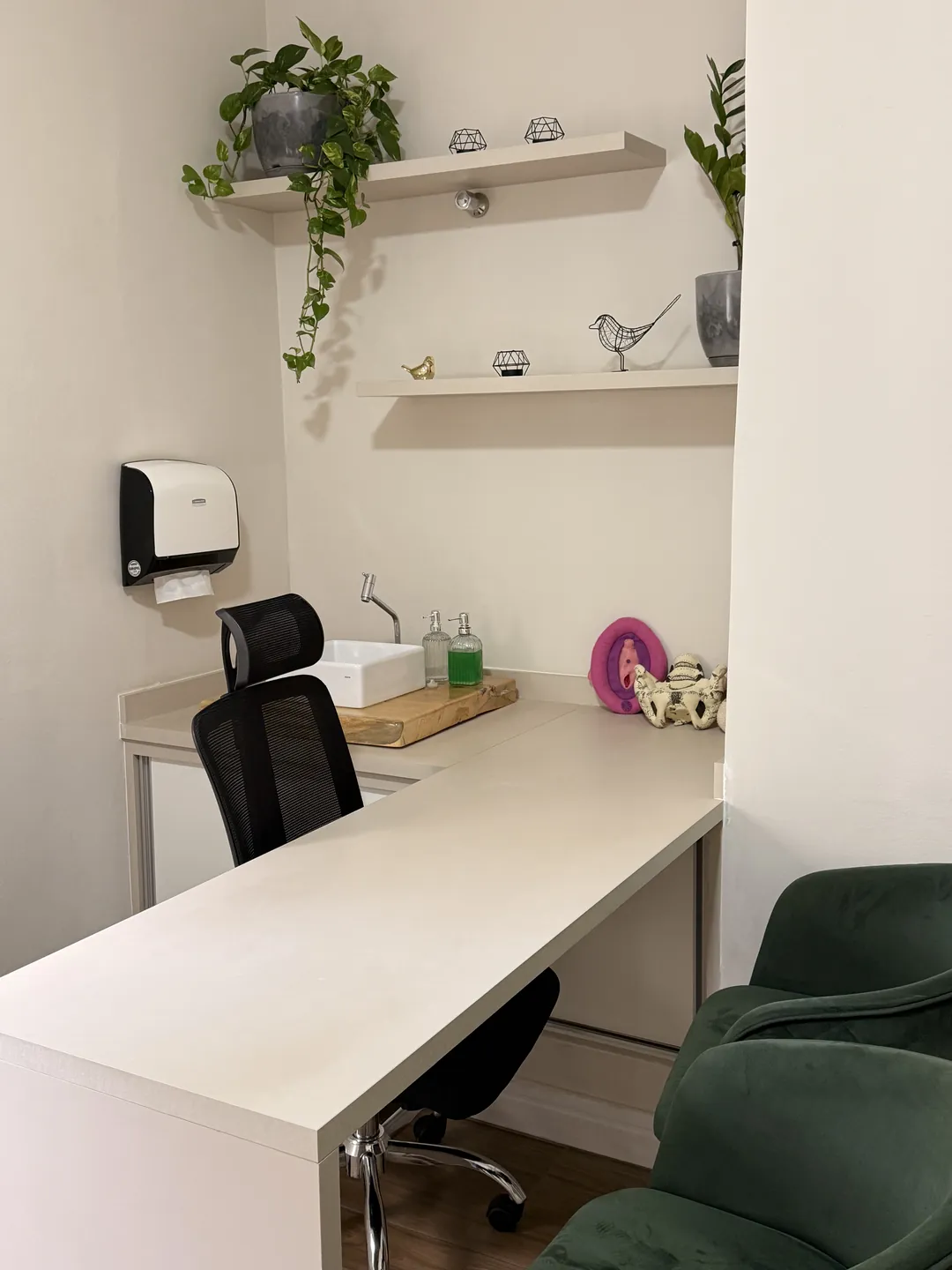 Mesa de atendimento com plantas nas prateleiras, na Clínica Luz.